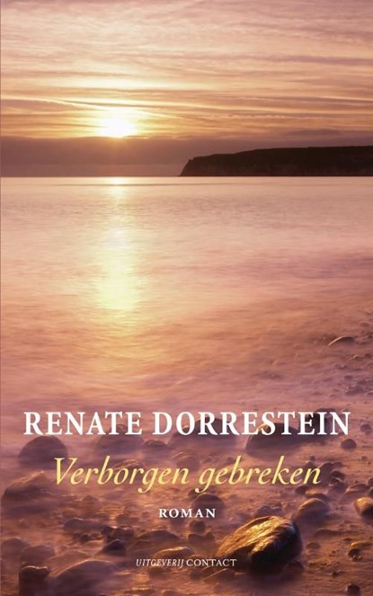 midprice / Verborgen gebreken, Renate Dorrestein - Ebook - 9789025429270