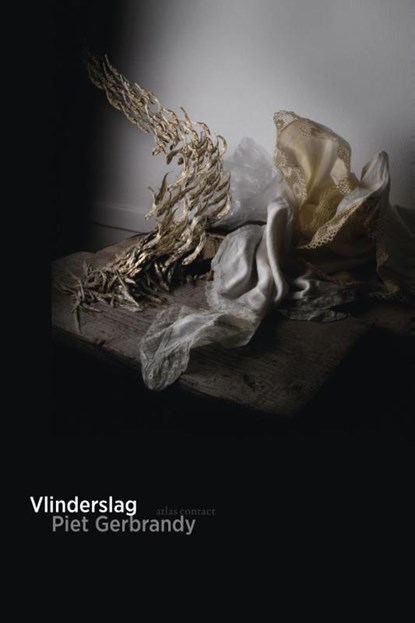 Vlinderslag, Piet Gerbrandy - Paperback - 9789025442026