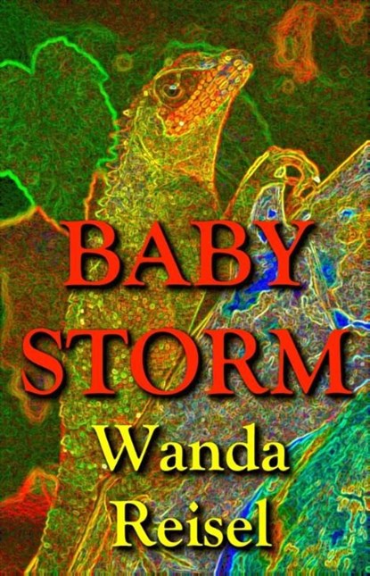 Baby Storm, Wanda Reisel - Ebook - 9789025442743