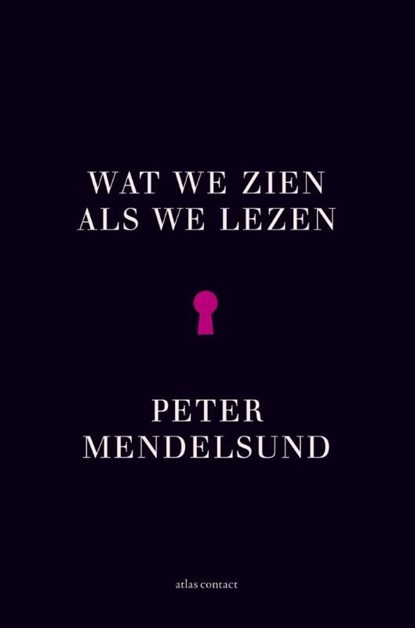Wat we zien als we lezen, Peter Mendelsund - Ebook - 9789025446314
