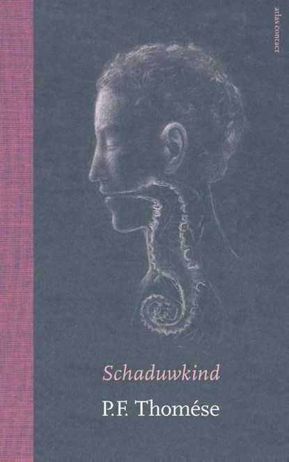 Schaduwkind, P.F. Thomése - Gebonden - 9789025446642