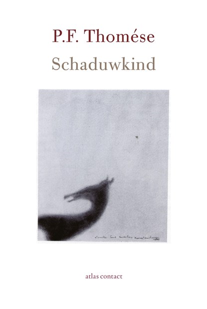 Schaduwkind, P.F. Thomése - Gebonden - 9789025453190