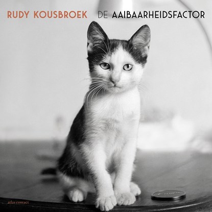 De Aaibaarheidsfactor, Rudy Kousbroek - Luisterboek MP3 - 9789025454432