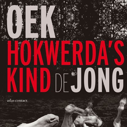 Hokwerda's kind, Oek de Jong - Luisterboek MP3 - 9789025470012
