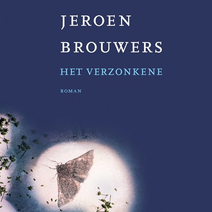 Het verzonkene, Jeroen Brouwers - Luisterboek MP3 - 9789025470388