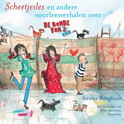 Scheetjesles, Sunna Borghuis - Luisterboek MP3 - 9789025766788