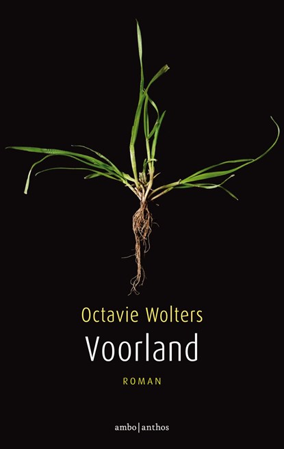 Voorland, Octavie Wolters - Ebook - 9789026335495