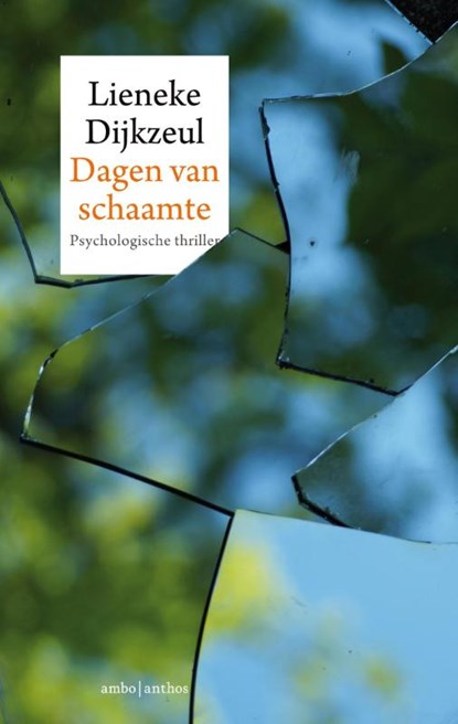 Dagen van schaamte, Lieneke Dijkzeul - Paperback - 9789026337154
