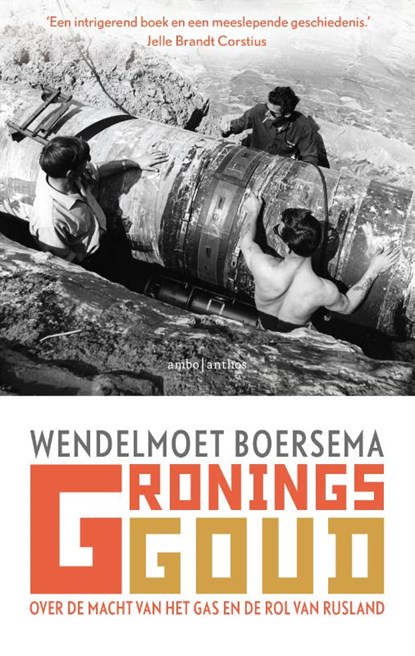 Gronings goud, Wendelmoet Boersema - Paperback - 9789026344657