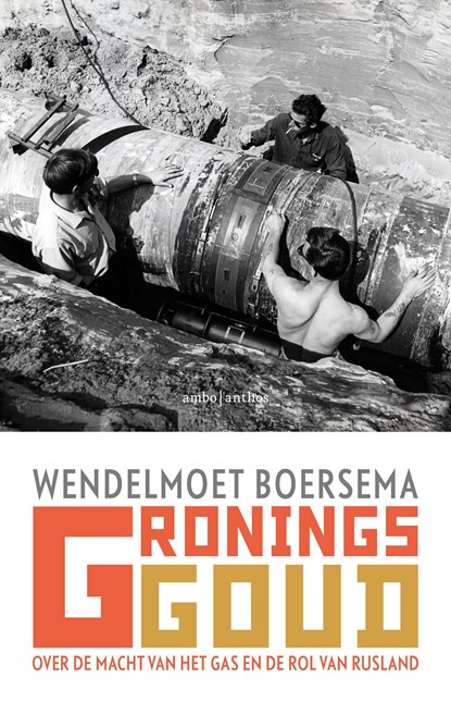 Gronings goud, Wendelmoet Boersema - Ebook - 9789026344664