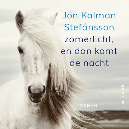 Zomerlicht, en dan komt de nacht, Jón Kalman Stefánsson - Luisterboek MP3 - 9789026348068