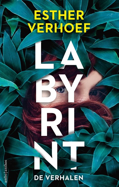 Labyrint - De verhalen, Esther Verhoef - Ebook - 9789026351099