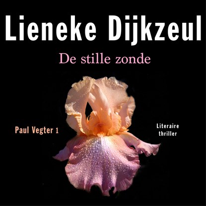 De stille zonde, Lieneke Dijkzeul - Luisterboek MP3 - 9789026352980