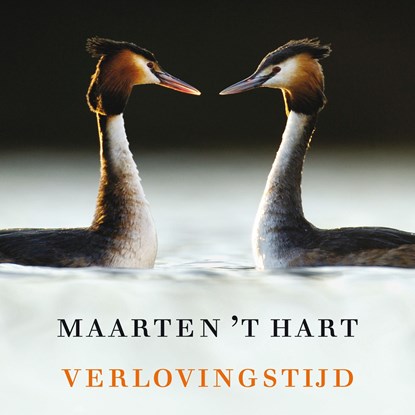 Verlovingstijd, Maarten 't Hart - Luisterboek MP3 - 9789029526050