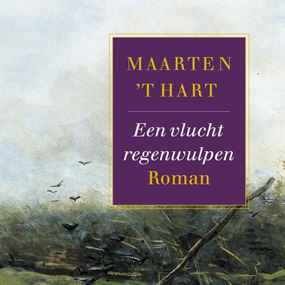 Een vlucht regenwulpen, Maarten 't Hart - Luisterboek MP3 - 9789029541336