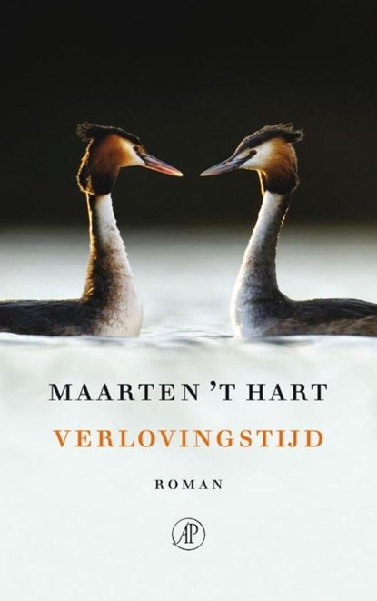 Verlovingstijd, Maarten 't Hart - Ebook - 9789029568593