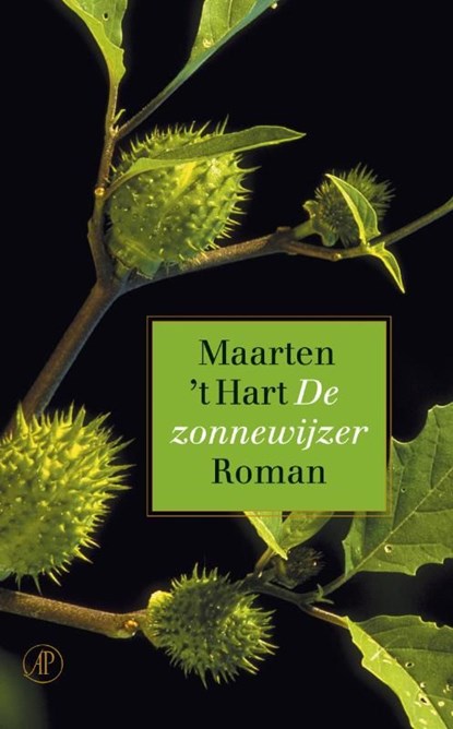 De zonnewijzer, Maarten 't Hart - Ebook - 9789029576819