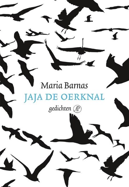 Jaja de oerknal, Maria Barnas - Ebook - 9789029587365