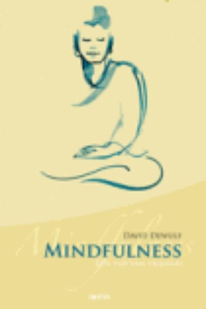Mindfulness, David Dewulf - Paperback - 9789033475498