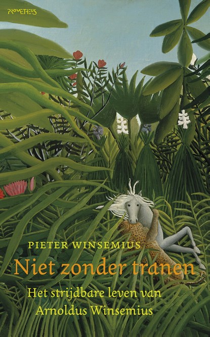 Niet zonder tranen, Pieter Winsemius - Ebook - 9789035144156