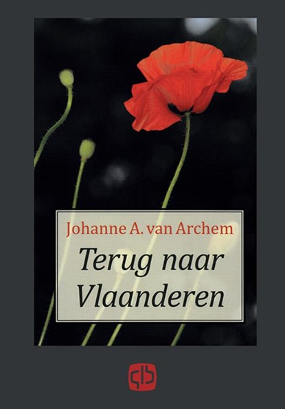 Terug naar Vlaanderen, Johanne A van Archem - Gebonden - 9789036427357