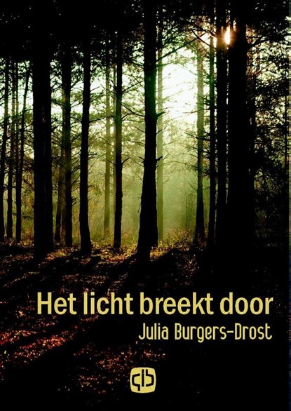 Het licht breekt door, Julia Burgers-Drost - Gebonden - 9789036429566