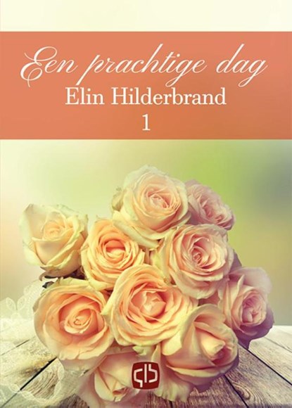Een prachtige dag, Elin Hilderbrand - Gebonden - 9789036429818