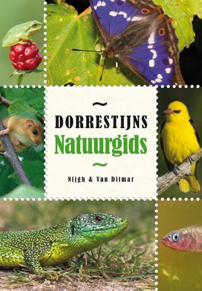 Dorrestijns natuurgids, Hans Dorrestijn - Gebonden - 9789038893471