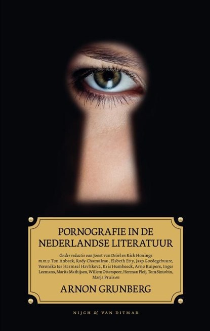 Pornografie in de Nederlandse literatuur, niet bekend - Ebook - 9789038895314