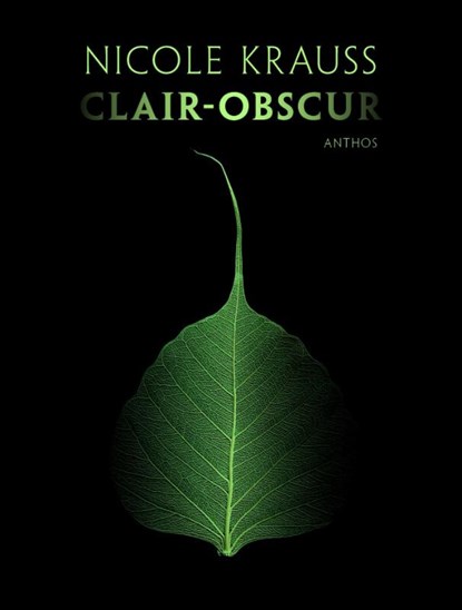 Clair-obscur, Nicole Krauss - Gebonden - 9789041423931