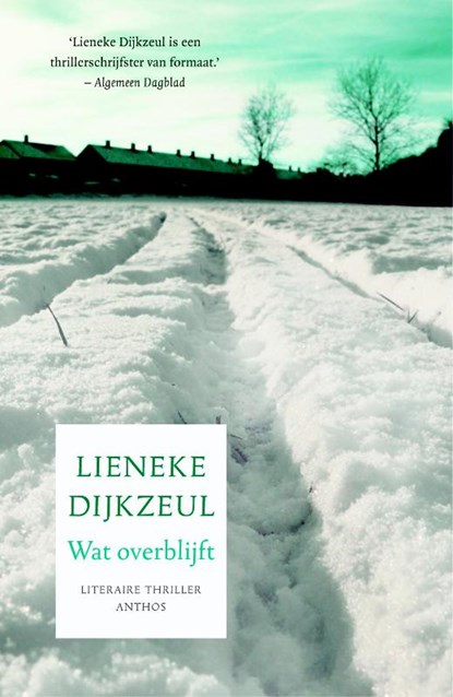 Wat overblijft, Lieneke Dijkzeul - Paperback - 9789041425034