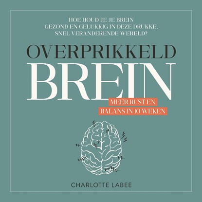 Overprikkeld Brein, Charlotte Labee - Luisterboek MP3 - 9789043924917