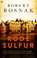 Rode sulfur, Robert Bosnak - Paperback - 9789044350531