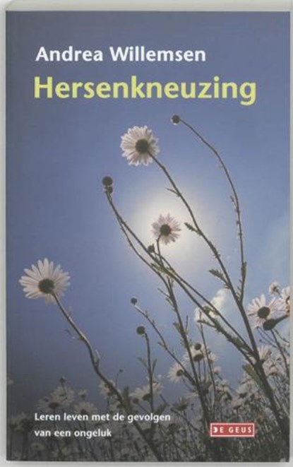 Hersenkneuzing, WILLEMSEN, A. - Paperback - 9789044507904