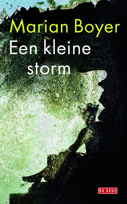 Een kleine storm, Marian Boyer - Ebook - 9789044519525