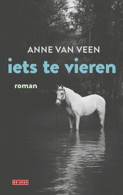 Iets te vieren, Anne van Veen - Paperback - 9789044542141