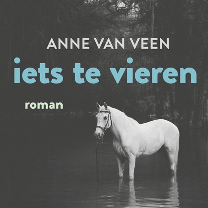 Iets te vieren, Anne van Veen - Luisterboek MP3 - 9789044543117