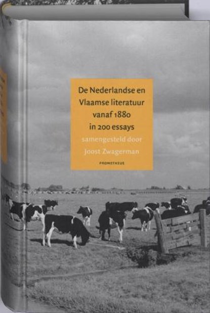 De Nederlandse en Vlaamse literatuur vanaf 1880 in 200 essays, ZWAGERMAN, Joost - Gebonden - 9789044610093