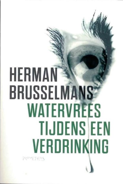 Watervrees tijdens een verdrinking, Herman Brusselmans - Ebook - 9789044620849