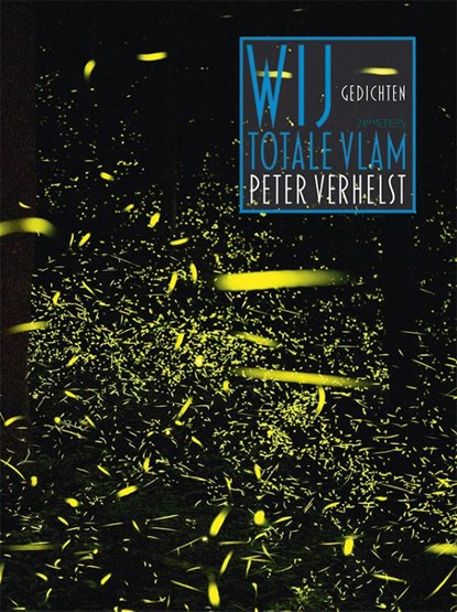 Wij totale vlam, Peter Verhelst - Paperback - 9789044625202