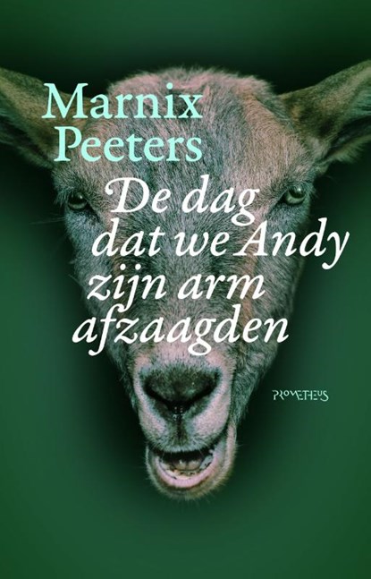 De dag dat we Andy zijn arm afzaagden, Marnix Peeters - Paperback - 9789044627824