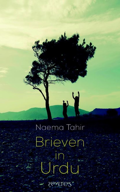 Brieven in Urdu, Naema Tahir - Paperback - 9789044630008