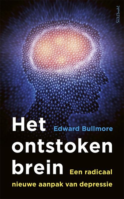 Het ontstoken brein, Edward Bullmore - Paperback - 9789044638851