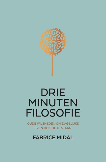 Drie minuten filosofie, Fabrice Midal - Ebook - 9789044932331