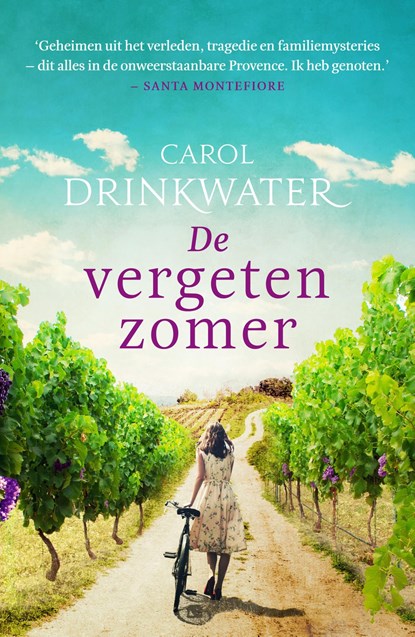 De vergeten zomer, Carol Drinkwater - Ebook - 9789044975468