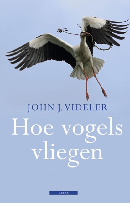 Hoe vogels vliegen, John J. Videler - Ebook - 9789045020501