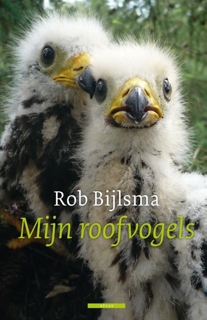 Mijn roofvogels, Rob Bijlsma - Paperback - 9789045021263
