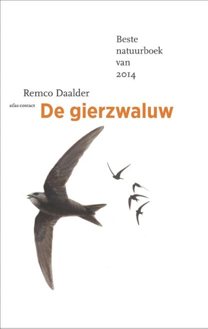 De gierzwaluw, Remco Daalder - Paperback - 9789045022239