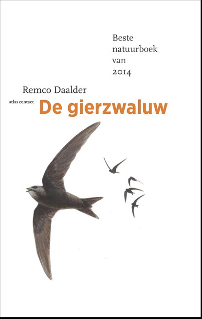 De gierzwaluw, Remco Daalder - Ebook - 9789045026299
