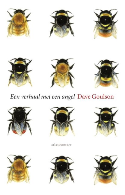 Een verhaal met een angel, Dave Goulson - Paperback - 9789045026404